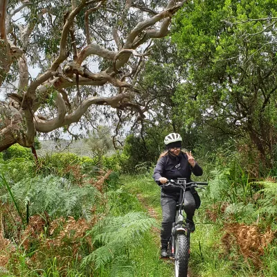 A guy riding electric bike on the park